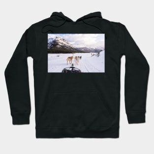 Dogsledding Perfection Hoodie